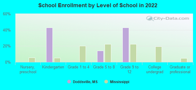 School Enrollment by Level of School in 2022