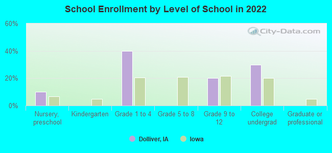 School Enrollment by Level of School in 2022