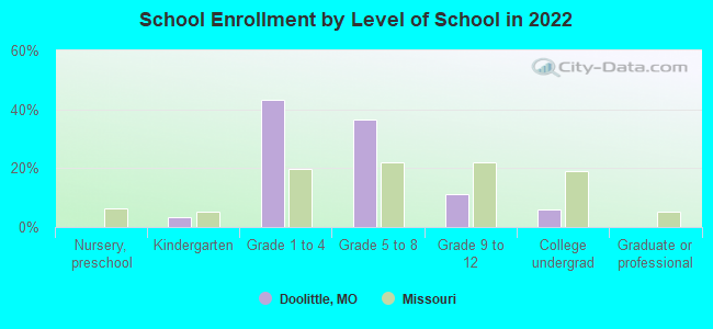 School Enrollment by Level of School in 2022