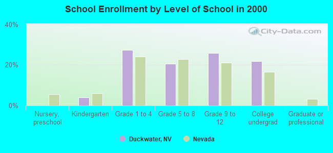 School Enrollment by Level of School in 2000