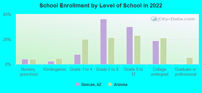 School Enrollment by Level of School in 2022