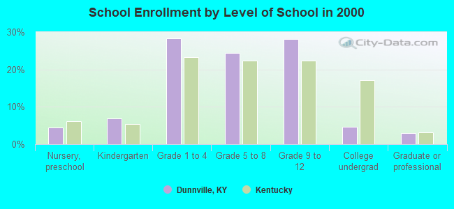 School Enrollment by Level of School in 2000