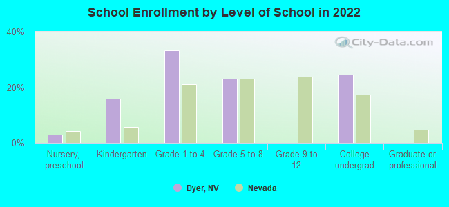 School Enrollment by Level of School in 2022