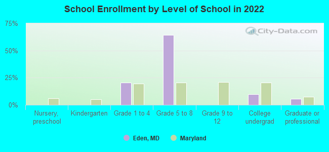 School Enrollment by Level of School in 2022