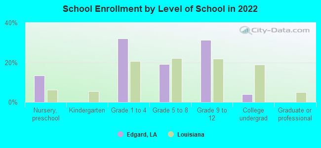 School Enrollment by Level of School in 2022