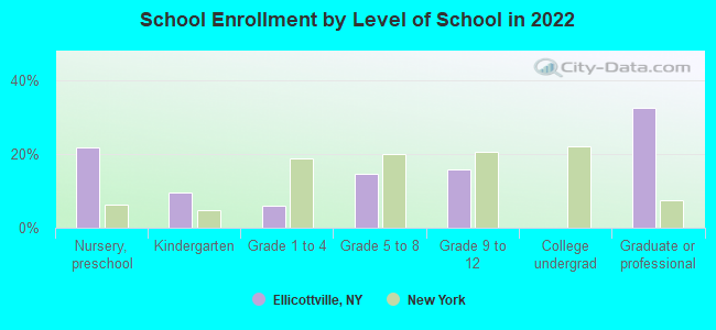 School Enrollment by Level of School in 2022