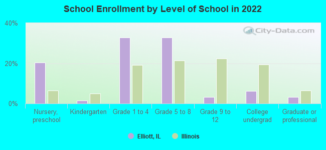 School Enrollment by Level of School in 2022