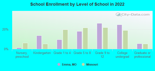 School Enrollment by Level of School in 2022