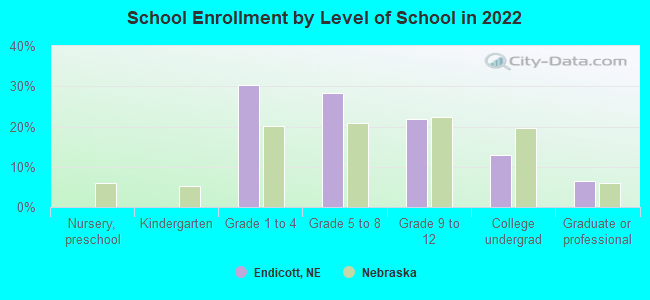 School Enrollment by Level of School in 2022