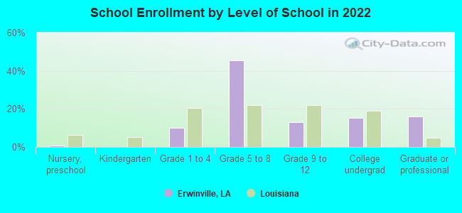 School Enrollment by Level of School in 2022