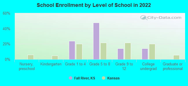 School Enrollment by Level of School in 2022