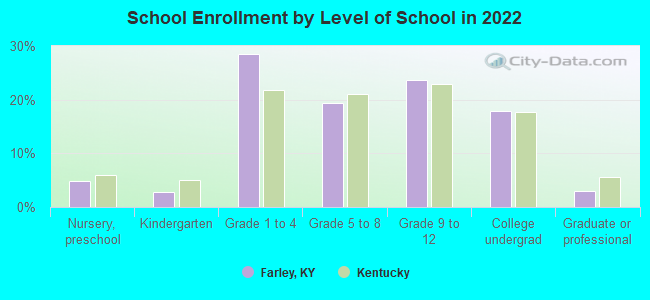 School Enrollment by Level of School in 2022