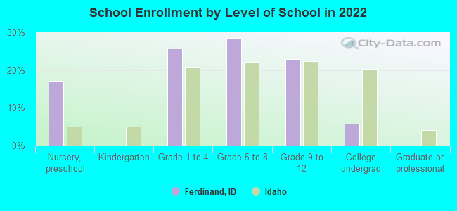 School Enrollment by Level of School in 2022