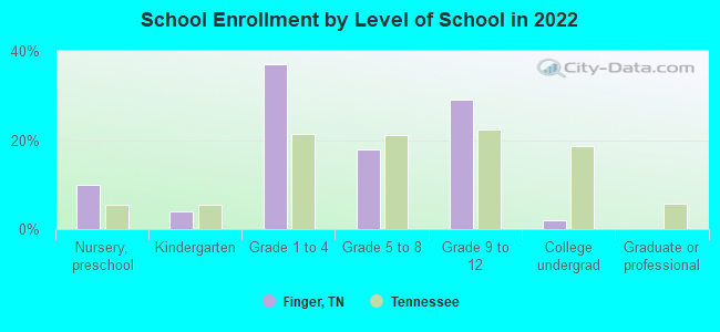 School Enrollment by Level of School in 2022