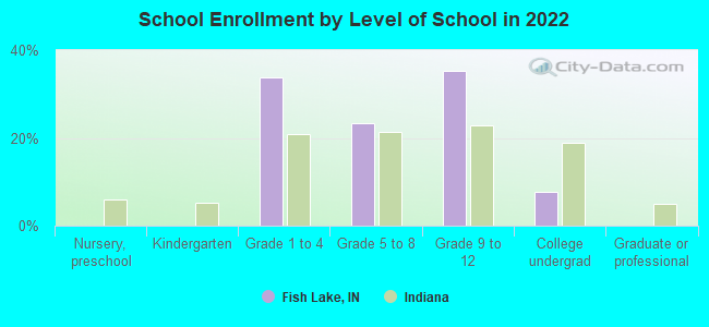 School Enrollment by Level of School in 2022