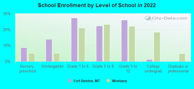 School Enrollment by Level of School in 2022