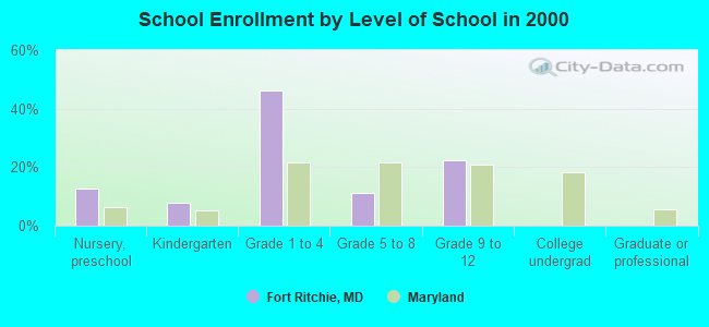 School Enrollment by Level of School in 2000