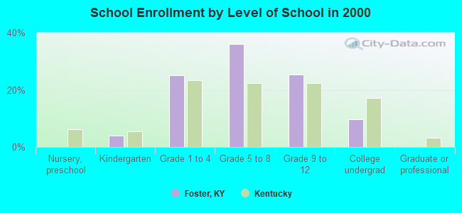 School Enrollment by Level of School in 2000