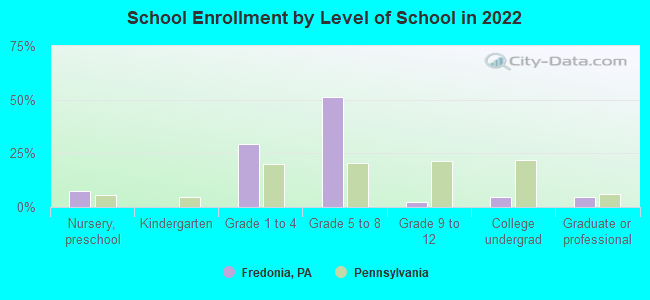 School Enrollment by Level of School in 2022