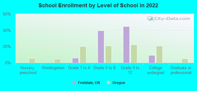 School Enrollment by Level of School in 2022