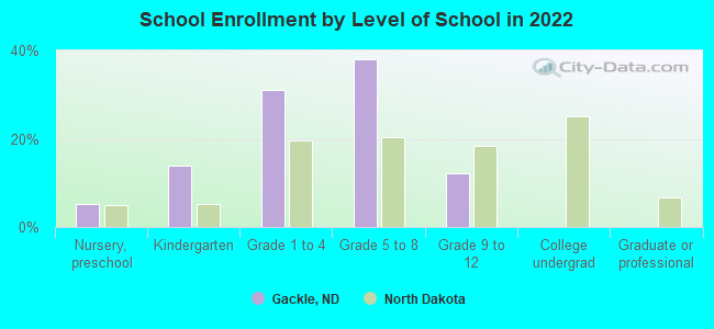 School Enrollment by Level of School in 2022