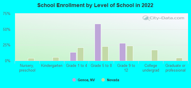 School Enrollment by Level of School in 2022