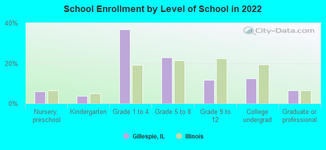 School Enrollment by Level of School in 2022