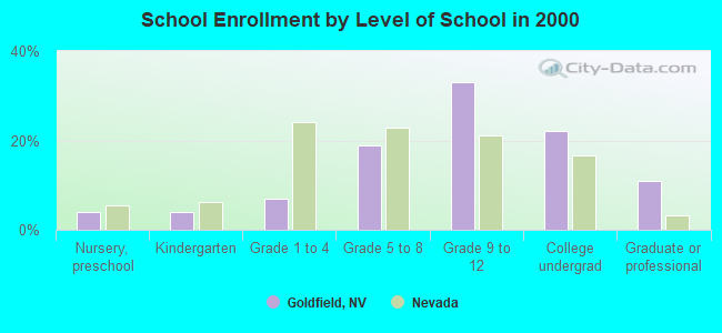 School Enrollment by Level of School in 2000