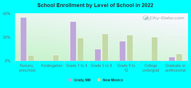 School Enrollment by Level of School in 2022