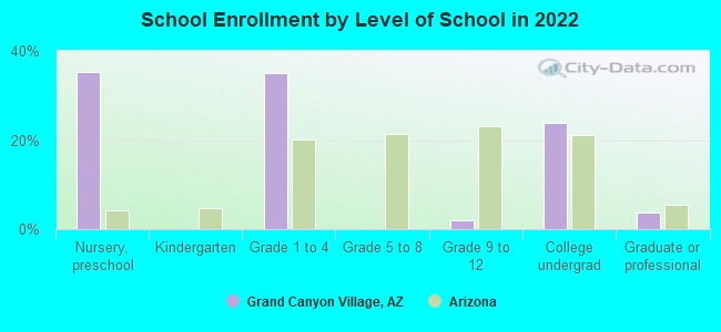 School Enrollment by Level of School in 2022