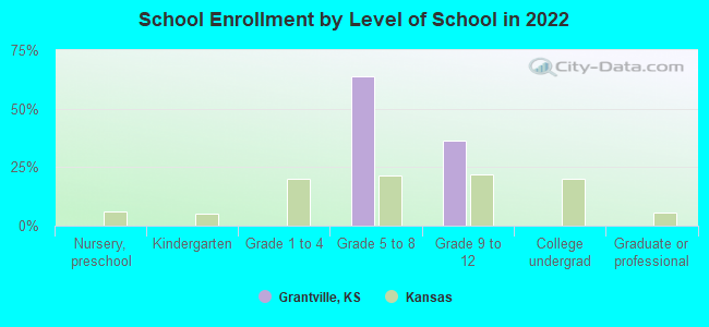 School Enrollment by Level of School in 2022