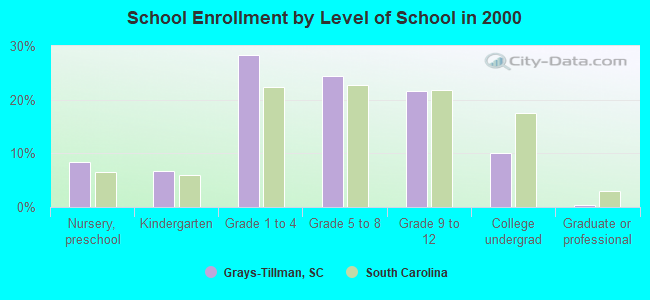 School Enrollment by Level of School in 2000