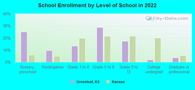 School Enrollment by Level of School in 2022