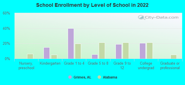 School Enrollment by Level of School in 2022