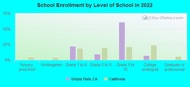 School Enrollment by Level of School in 2022