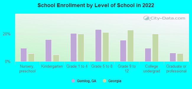 School Enrollment by Level of School in 2022