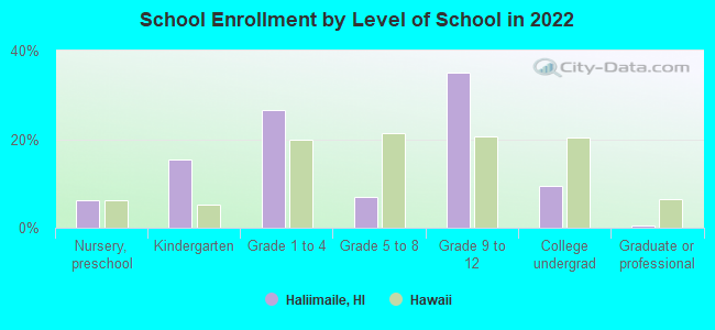 School Enrollment by Level of School in 2022