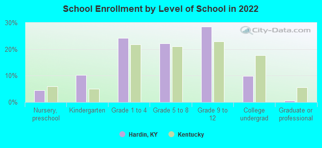 School Enrollment by Level of School in 2022