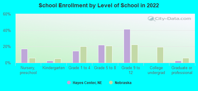 School Enrollment by Level of School in 2022