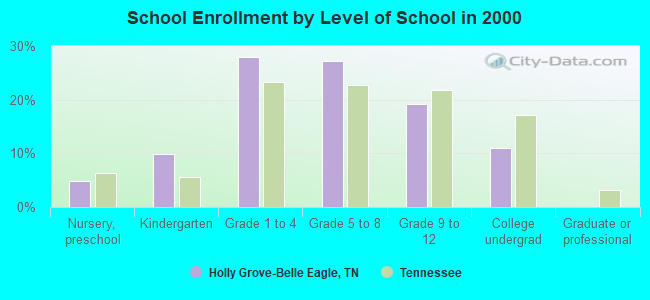 School Enrollment by Level of School in 2000