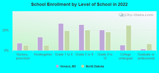 School Enrollment by Level of School in 2022