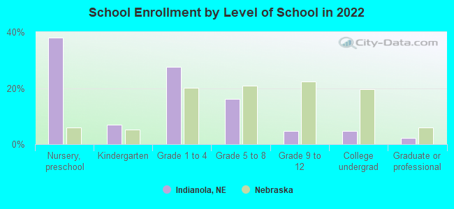 School Enrollment by Level of School in 2022