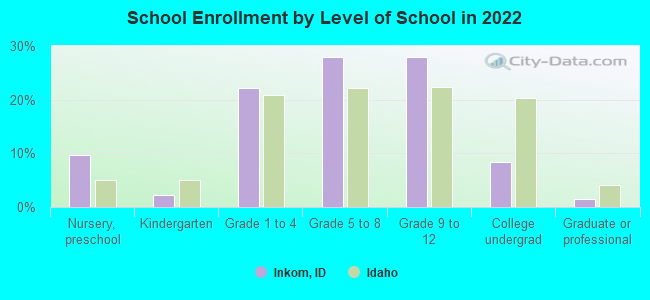 School Enrollment by Level of School in 2022