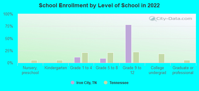 School Enrollment by Level of School in 2022