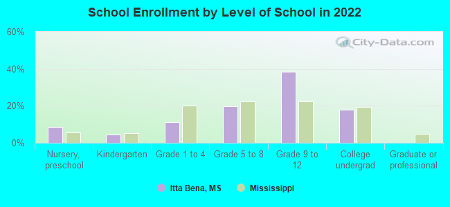 School Enrollment by Level of School in 2022