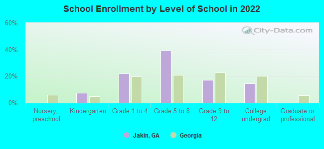 School Enrollment by Level of School in 2022