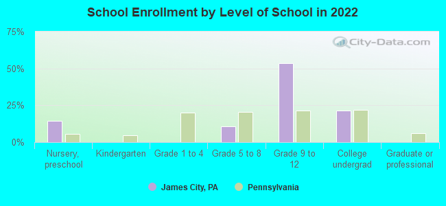 School Enrollment by Level of School in 2022