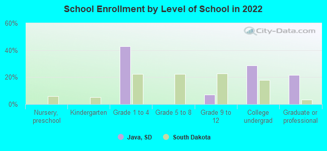 School Enrollment by Level of School in 2022