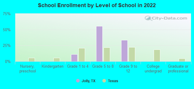 School Enrollment by Level of School in 2022