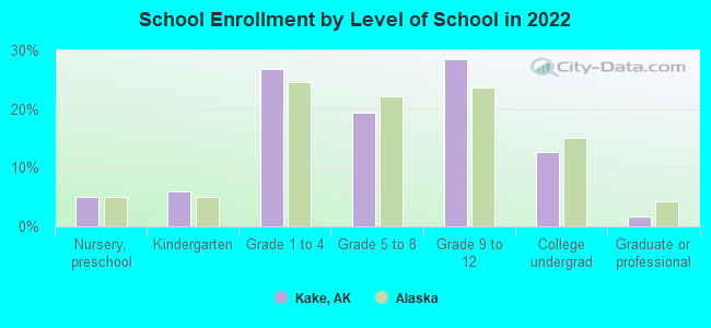 School Enrollment by Level of School in 2022